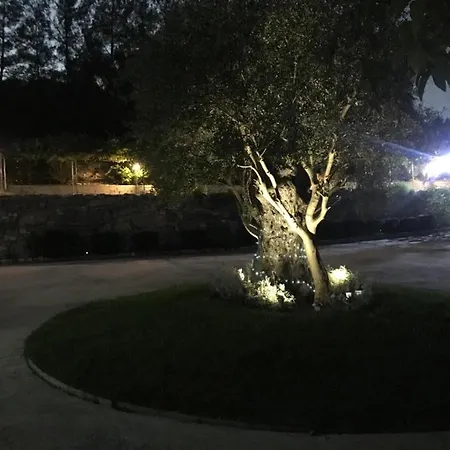 Villa Agia Mavri House Koilani