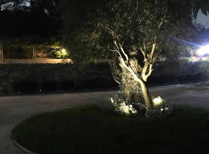 Vila Agia Mavri House Koilani